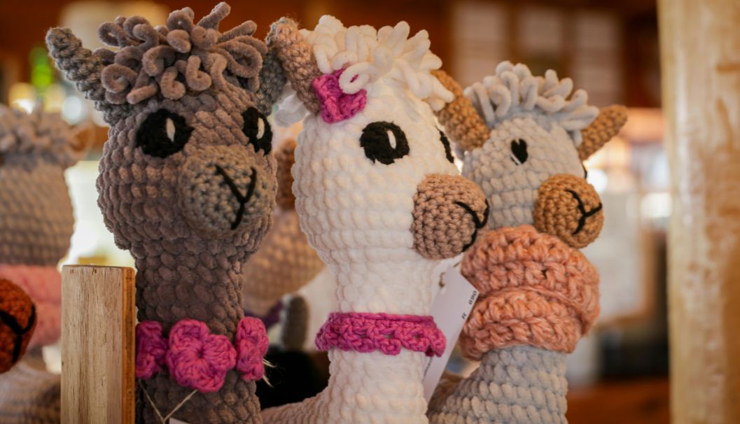 DIY Plushie