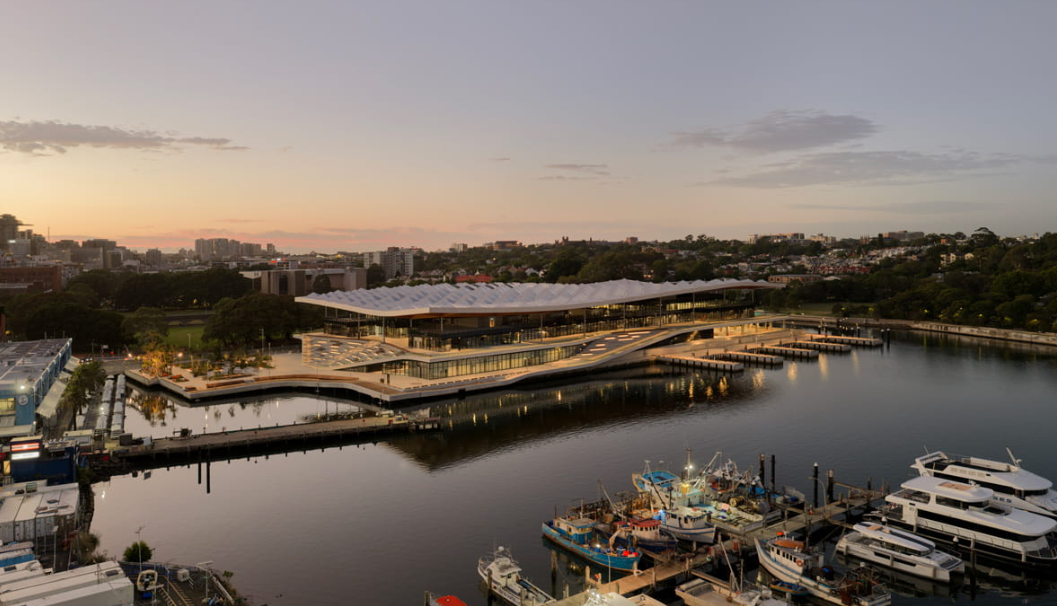 Explore Fish Markets
